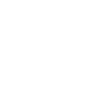 Padlock Icon for bottom of page